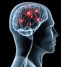 cra-brain1